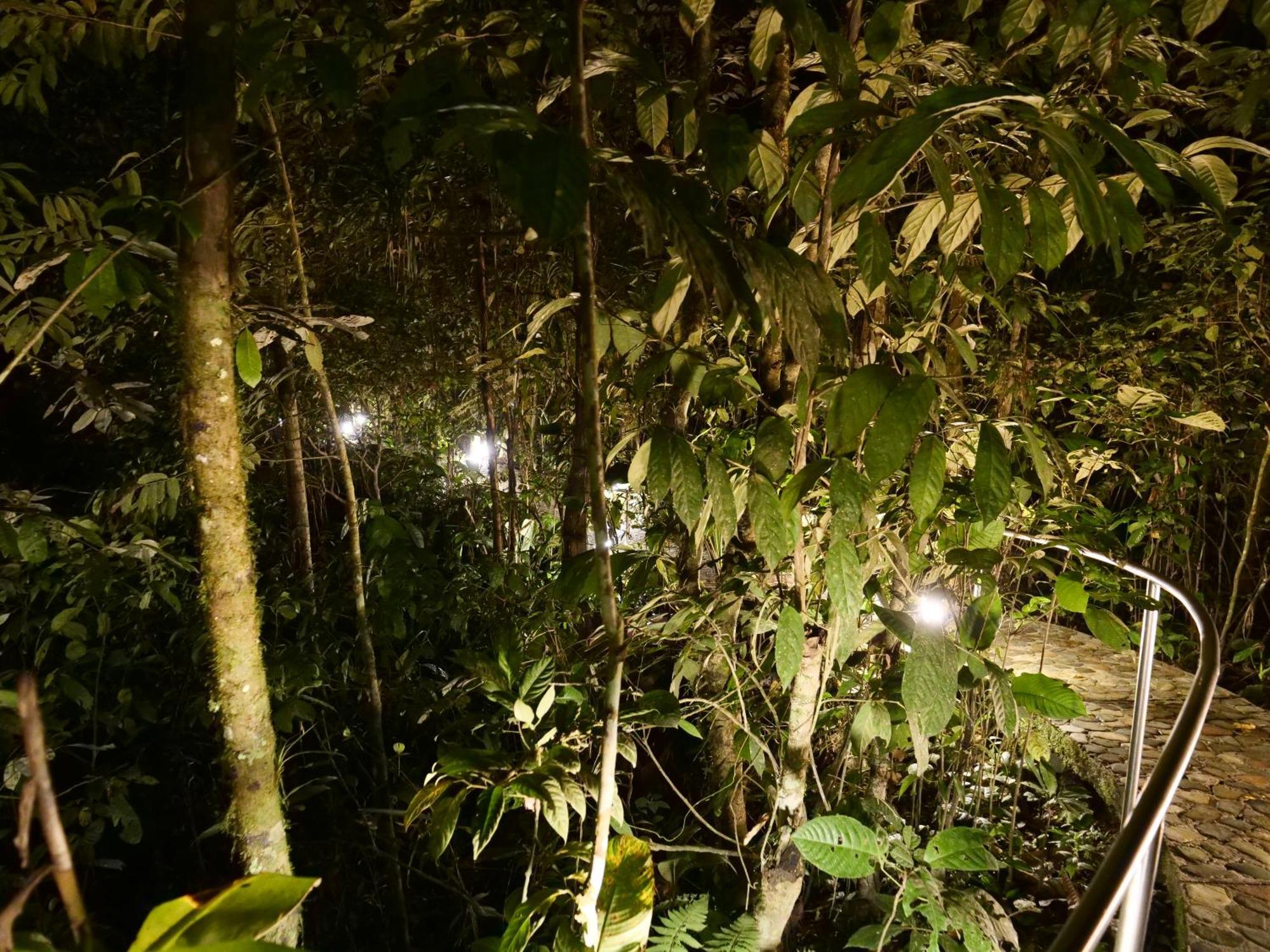 Arahuana Jungle Resort & Spa เตนา ภายนอก รูปภาพ