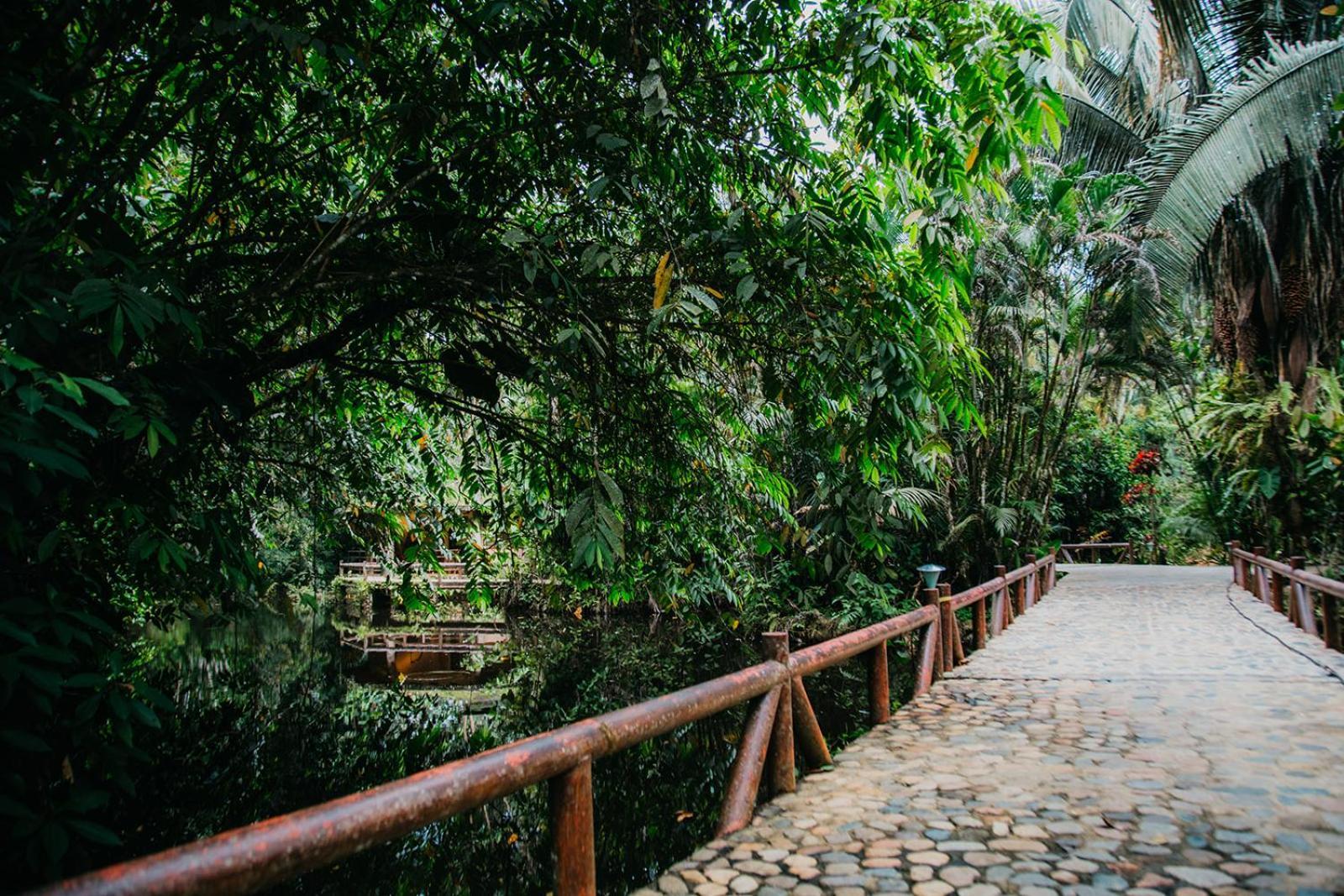 Arahuana Jungle Resort & Spa เตนา ภายนอก รูปภาพ