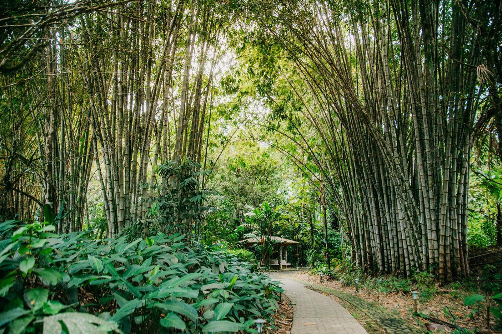 Arahuana Jungle Resort & Spa เตนา ภายนอก รูปภาพ