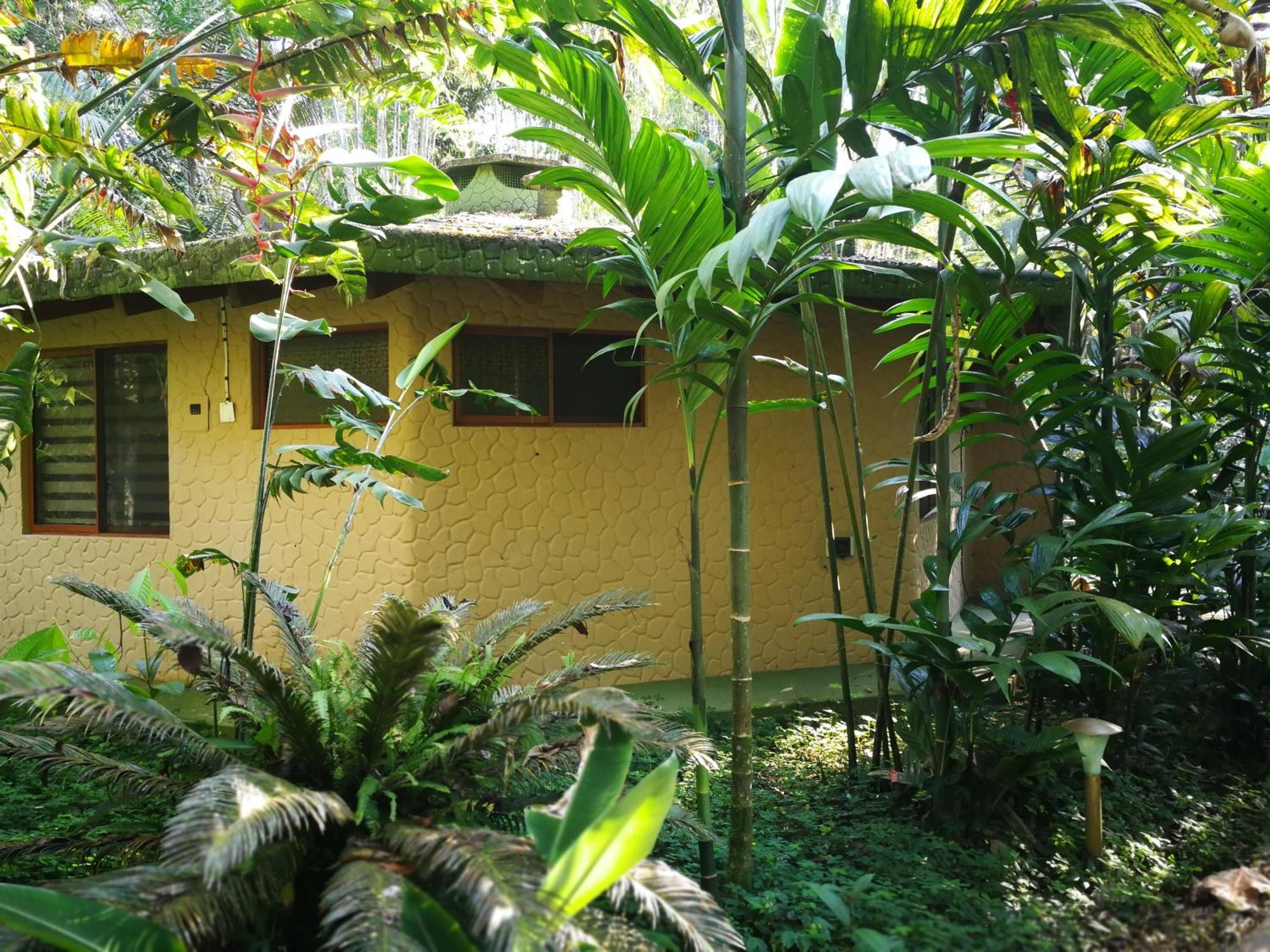 Arahuana Jungle Resort & Spa เตนา ภายนอก รูปภาพ