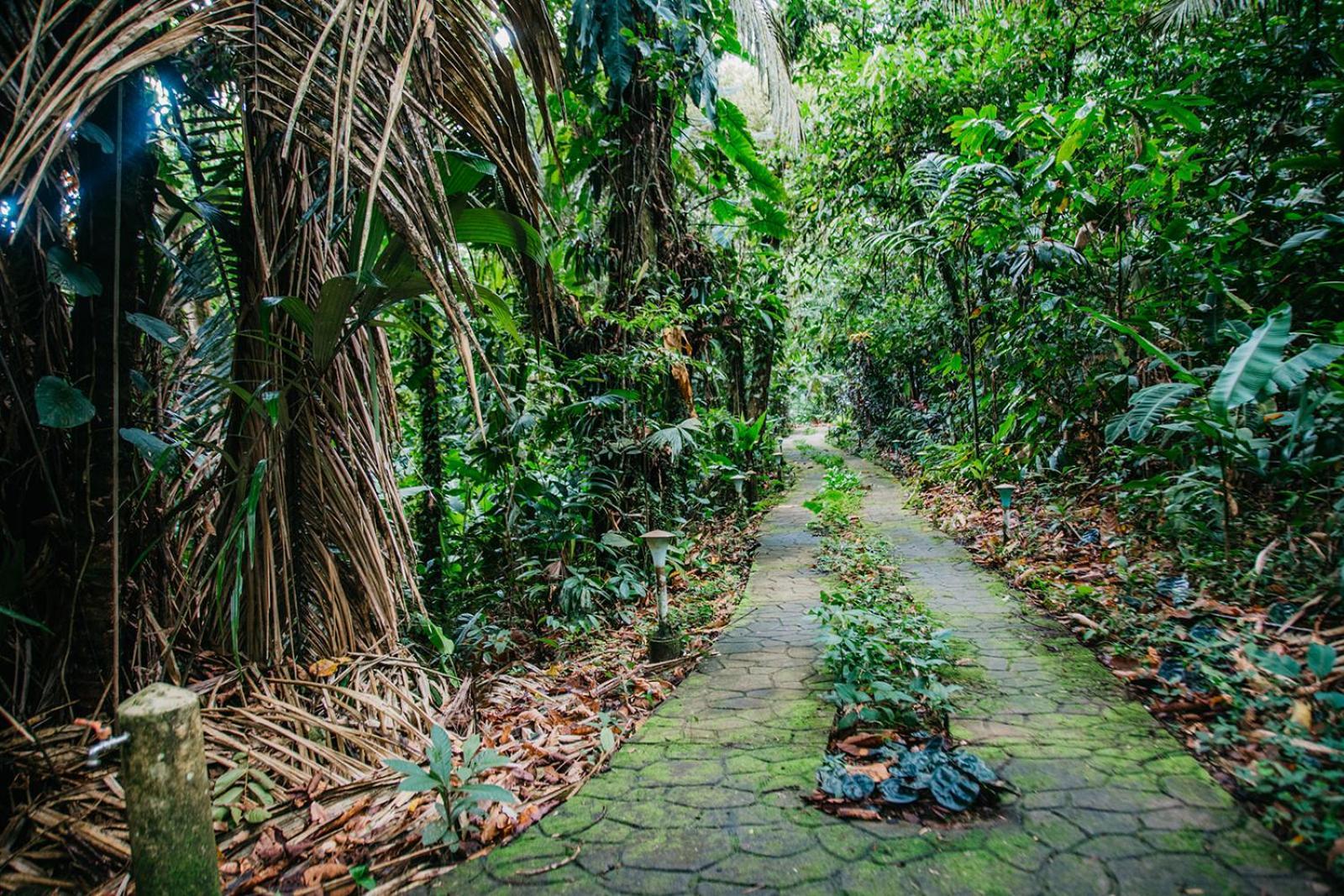 Arahuana Jungle Resort & Spa เตนา ภายนอก รูปภาพ