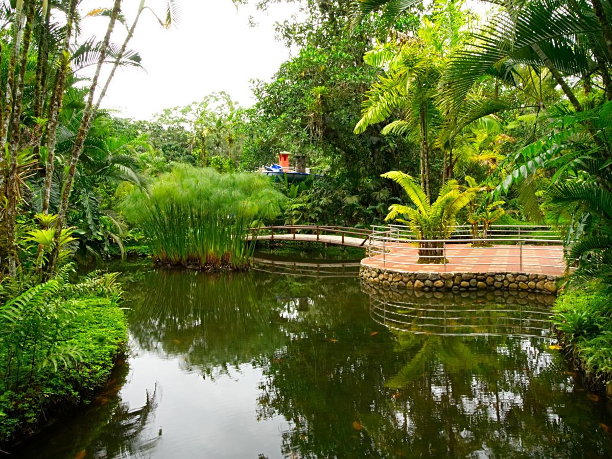 Arahuana Jungle Resort & Spa เตนา ภายนอก รูปภาพ